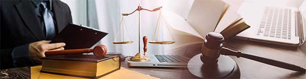 Litigation Services